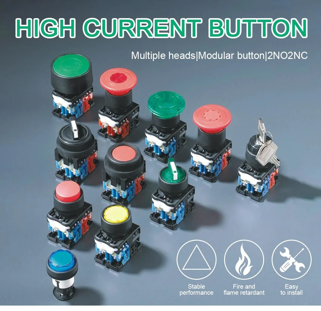 La165-B8-11 China Factory Supply Black Flat Head Momentary Switch 1no1nc Fuse Big Plastic Push Button Switch